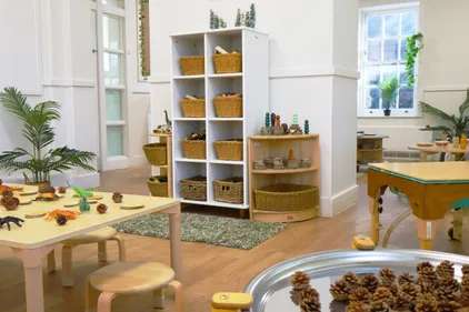 Nursery photograph 1774608546345 - profile view