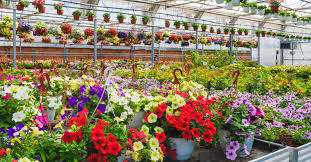 Profile image 1764178331602 of 4 Nursery photograph 1764178331602 - profile view