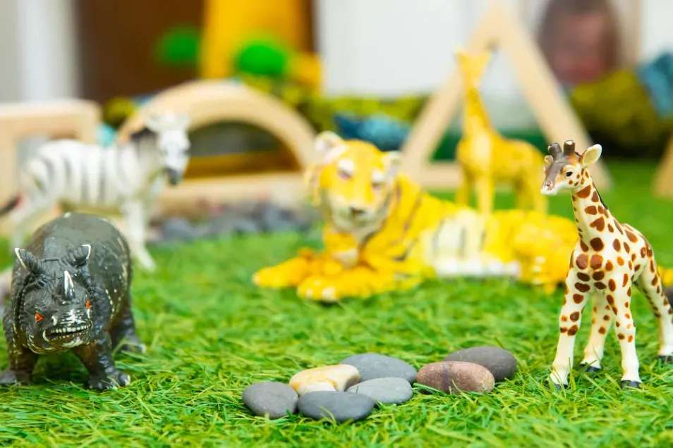 Profile image 1771603825724 of 14 Nursery photograph 1771603825724 - profile view